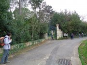 200213_Pinet011.jpg