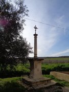 200213_Pinet017.jpg