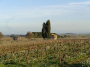 200213_Pinet020.jpg