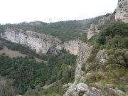 200209_St-Guilhem008.jpg