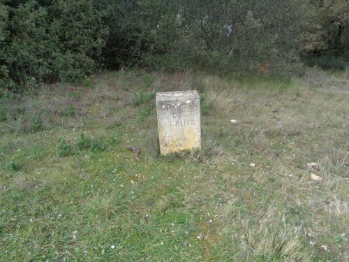 Cliquer pour voir l'image en taille réelle