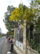 200206_St-Christol019.jpg