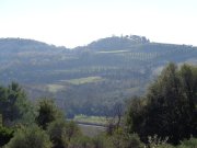 200112_Nebian020.jpg