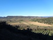 200112_Nebian029.jpg