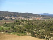 200112_Nebian030.jpg