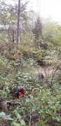 191031_Clapier005.jpg