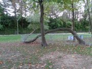 191031_Clapier018.jpg