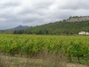 191017_La-Vieille007.jpg