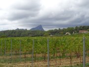 191017_La-Vieille008.jpg