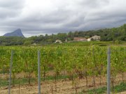 191017_La-Vieille009.jpg
