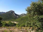 191013_Montmi026.jpg