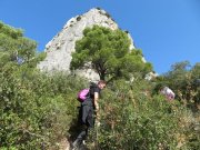 191013_Montmi027.jpg