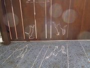 190919_Viols001.jpg