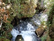190915_Blandas029.jpg