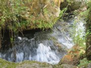 190915_Blandas038.jpg