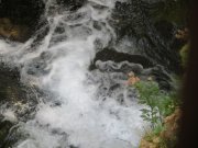 190915_Blandas040.jpg