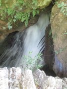 190915_Blandas043.jpg
