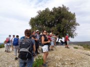 190909_Mont016.jpg