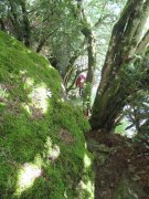 190619_Bramabiau021.jpg