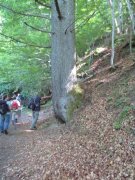 190619_Bramabiau027.jpg