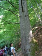 190619_Bramabiau028.jpg