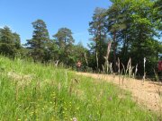 190619_Bramabiau051A.jpg