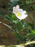 190619_Bramabiau051B.jpg