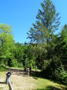 190619_Bramabiau066.jpg