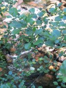 190619_Bramabiau072.jpg