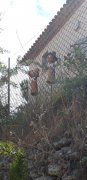 190613_Poussan05.jpg