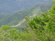 190609_Peyraube017.jpg