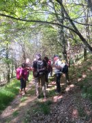190603_Cap-de-Cote003.jpg