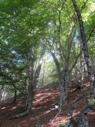 190603_Cap-de-Cote008.jpg
