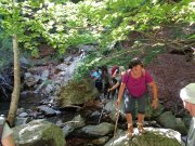 190603_Cap-de-Cote014A.jpg