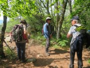 190603_Cap-de-Cote016.jpg
