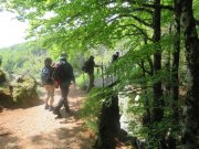 190603_Cap-de-Cote018.jpg