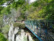 190603_Cap-de-Cote018A.jpg