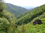 190603_Cap-de-Cote018D.jpg