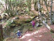 190603_Cap-de-Cote019.jpg