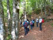 190603_Cap-de-Cote019A.jpg