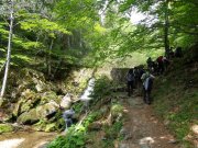 190603_Cap-de-Cote021A.jpg