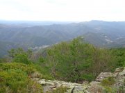 190603_Cap-de-Cote022A.jpg