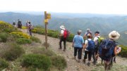 190603_Cap-de-Cote024.jpg