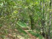 190603_Cap-de-Cote030A.jpg