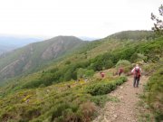 190603_Cap-de-Cote031.jpg