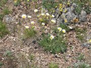 190520_Escandorgue017.jpg