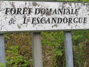 190520_Escandorgue019.jpg