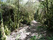 190520_Escandorgue039A.jpg