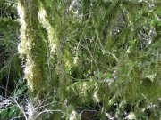 190520_Escandorgue039B.jpg