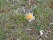 190512_Florac027.jpg